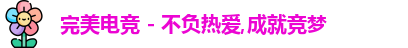 完美电竞